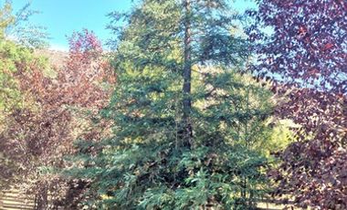 CASA CON PARCELA EN PAINE