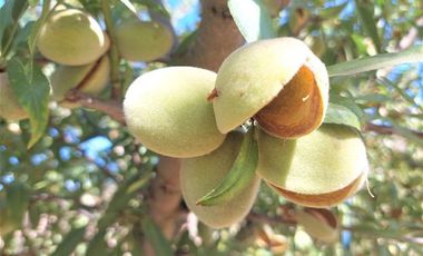 CASA CON PARCELA EN PAINE