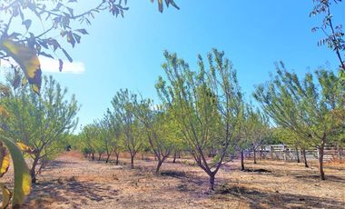 CASA CON PARCELA EN PAINE