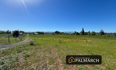 VENTA DE PARCELAS DE 5000M2 PARRAL SECTOR TALQUITA