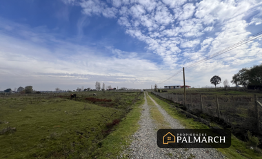 VENTA DE PARCELAS DE 5000M2 PARRAL SECTOR TALQUITA