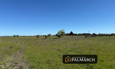 VENTA DE PARCELAS DE 5000M2 PARRAL SECTOR TALQUITA