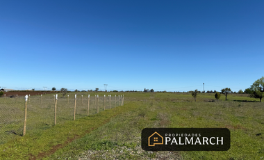 VENTA DE PARCELAS DE 5000M2 PARRAL SECTOR TALQUITA