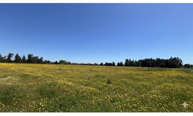 GRAN PARCELA EN LONGAVI