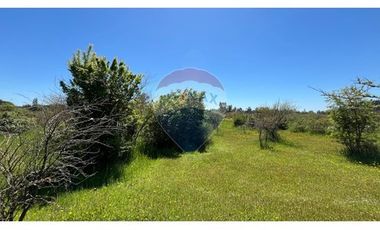 GRAN PARCELA EN LONGAVI