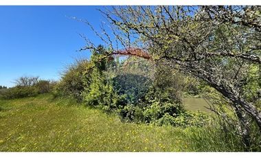 GRAN PARCELA EN LONGAVI