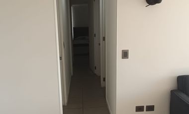 NOVO AZAPA
