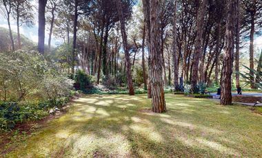 Cod 470 / VENTA excelente!! zona bosque