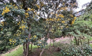 Arrienda Casa campestre amoblada, El Hato, La Calera