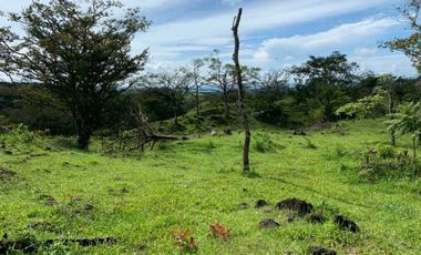 VENDO 07 HECTAREAS-  TITULADO -EN BOQUETE