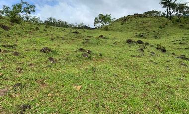 VENDO 07 HECTAREAS-  TITULADO -EN BOQUETE