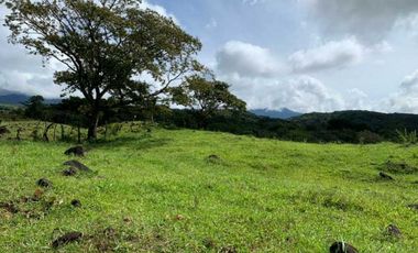 VENDO 07 HECTAREAS-  TITULADO -EN BOQUETE