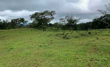 VENDO 07 HECTAREAS-  TITULADO -EN BOQUETE