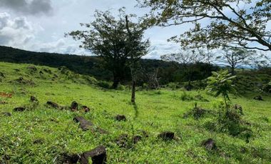 VENDO 07 HECTAREAS-  TITULADO -EN BOQUETE