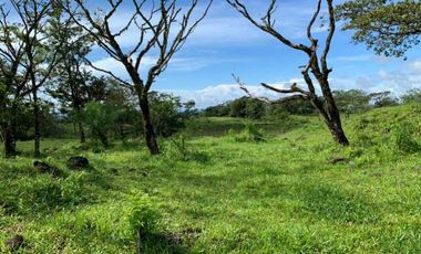 VENDO 07 HECTAREAS-  TITULADO -EN BOQUETE