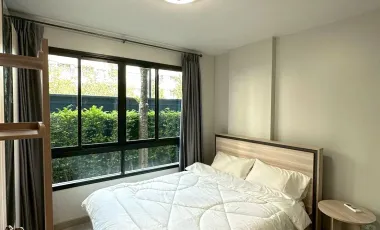 ✨ FOR RENT: DCONDO HATYAI