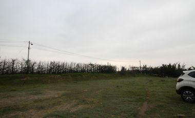 Parcela en venta  en MELIPILLA