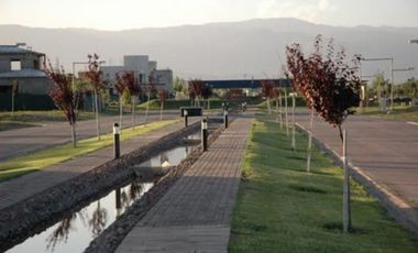 LOTE LOMAS DEL TORREON 2DA ETAPA, MENDOZA.