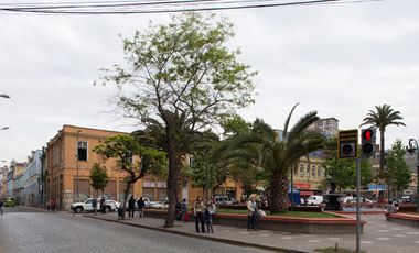 VENTA DE DERECHO DE LLAVES EDIFICIO GASTRONOMICO Y NOCTURNO