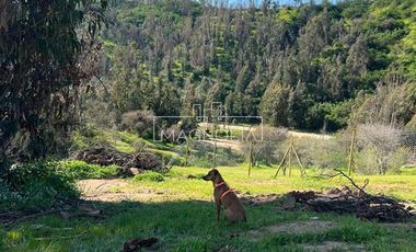 Agrícola en Venta en a 10 min del lago rapel