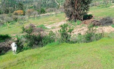 Agrícola en Venta en a 10 min del lago rapel