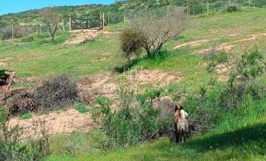 Agrícola en Venta en a 10 min del lago rapel