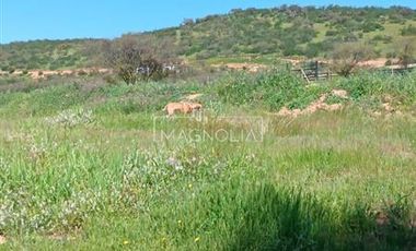 Agrícola en Venta en a 10 min del lago rapel