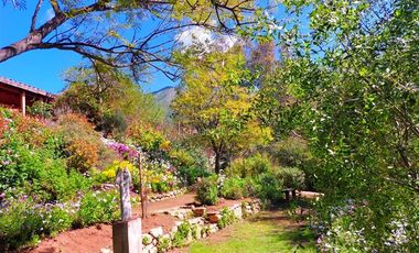 Casa en Venta en curacavi