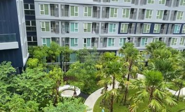 FOR RENT Condo Kave Town Island  CX-108401