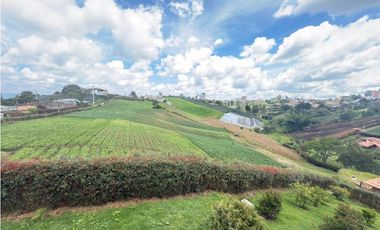 CASA CAMPRESTE EN ARRIENDO – UNIDAD SEMICERARDA