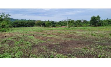 lotes en condominio palomino