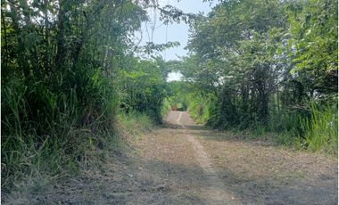 lotes en condominio palomino