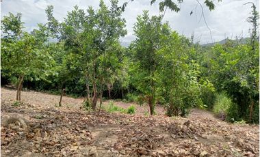 lotes campestres cerca al mar