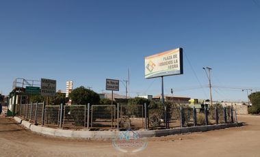 GRAN SITIO 10.000 MT2  Sector LA NEGRA ANTOFAGASTA