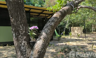 5 Bedroom Hotel for sale in Ko Phayam, Ranong