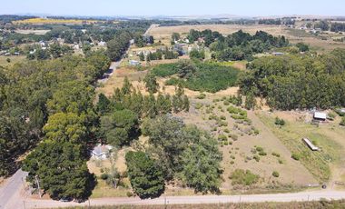 LOTE EN LA ELENA - TANDIL