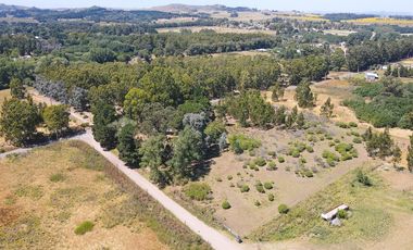 LOTE EN LA ELENA - TANDIL