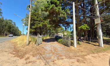 LOTE EN LA ELENA - TANDIL