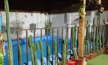 ESPECTACULAR CASA EN PARQUE SAN JUAN