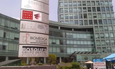 Bosques de las Lomas