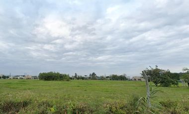 Terreno de 2.6 hectáreas en Los Nogales, s/ calle Santiago Villalba, ideal country o barrio privado