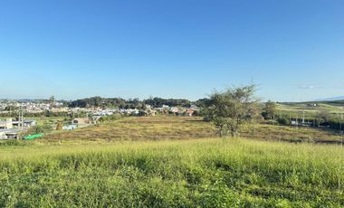 Terreno de 2.6 hectáreas en Los Nogales, s/ calle Santiago Villalba, ideal country o barrio privado