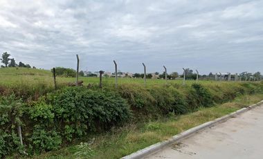 Terreno de 2.6 hectáreas en Los Nogales, s/ calle Santiago Villalba, ideal country o barrio privado