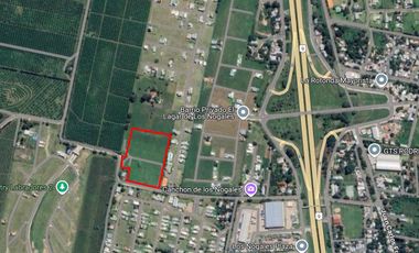 Terreno de 2.6 hectáreas en Los Nogales, s/ calle Santiago Villalba, ideal country o barrio privado