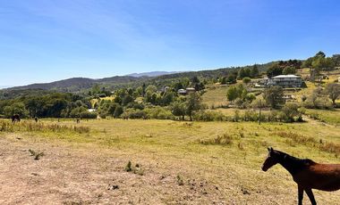 Excelente terreno de 1.4 hectáreas en Raco, sobre ruta 341