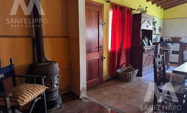 Casa Quinta / Chacra  de 2 hectáreas en venta con Pileta en  Ranchos - Alegre