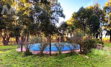Casa Quinta / Chacra  de 2 hectáreas en venta con Pileta en  Ranchos - Alegre