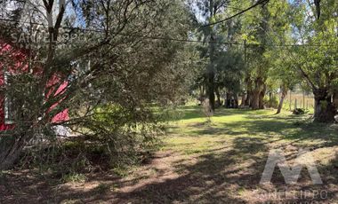 Casa Quinta / Chacra  de 2 hectáreas en venta con Pileta en  Ranchos - Alegre