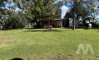 Casa Quinta / Chacra  de 2 hectáreas en venta con Pileta en  Ranchos - Alegre
