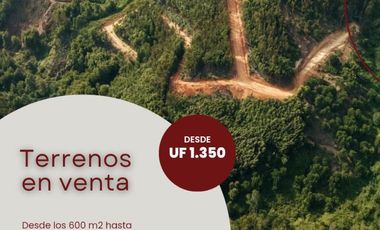 LOTEO EN VENTA, NONGUÉN - CONCEPCIÓN